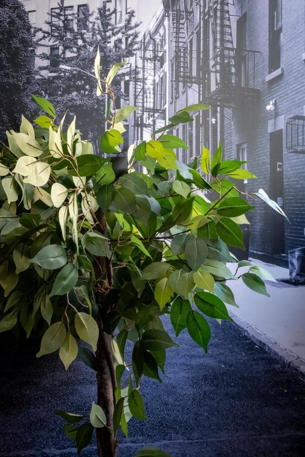 Superbe Appartement Avec Patio Nîmes Dış mekan fotoğraf